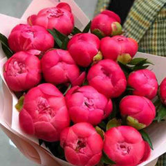 20 dark Pink Peonies Bouquet – Luxury Elegance by Rawadat Alward - Rawadat Alward