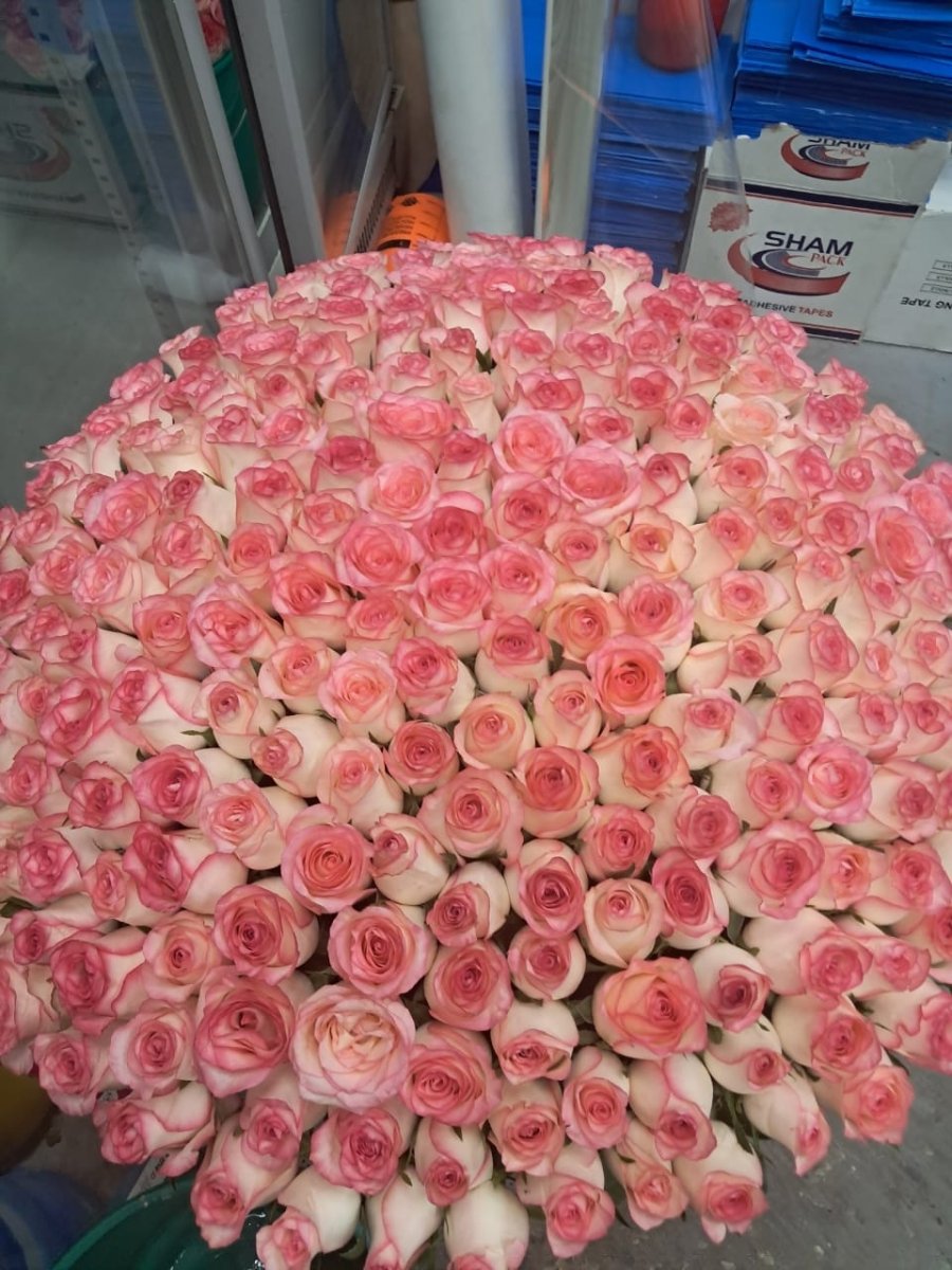 200 Double Pink Roses Basket โ Luxury Romance by Rawadat Alward - Rawadat Alward