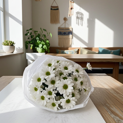 Fresh White Chrysanthemums in Elegant Wrapping