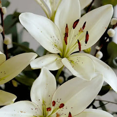 Bright Yellow & White Floral Arrangement - Rawadat Alward