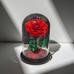 Preserved Red Rose in Glass Dome