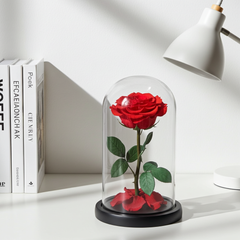 Preserved Red Rose in Glass Dome