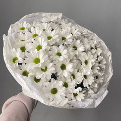 Fresh White Chrysanthemums in Elegant Wrapping - Rawadat Al Ward