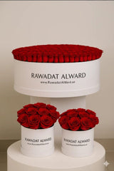 Luxury Red Roses Box Collection - Rawadat Alward
