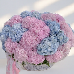 Pink and Blue Hydrangea Basket Arrangement