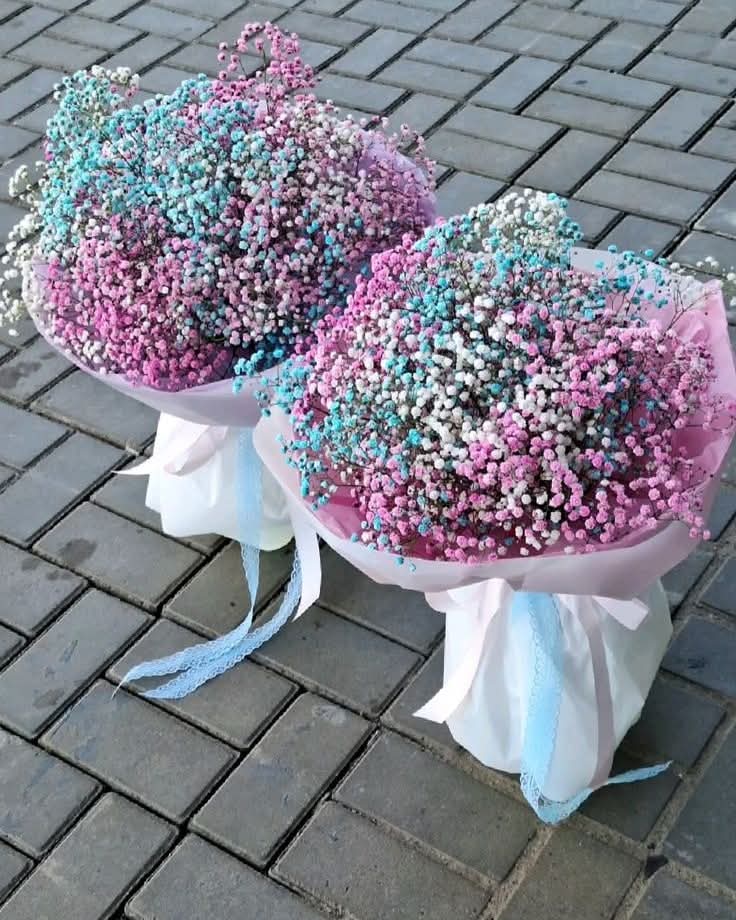 Pastel Gypsophila Bouquet (Baby’s Breath Flowers) - Rawadat Al Ward
