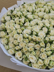 Pure, Elegant & Exquisite - Rawadat Al Ward