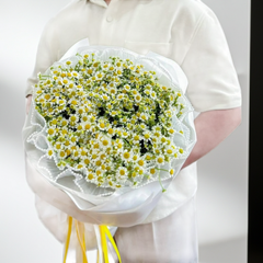 Fresh Daisy Flower Arrangement