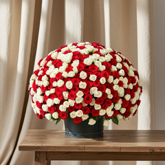 Premium Round Rose Bouquet with Black Ribbon