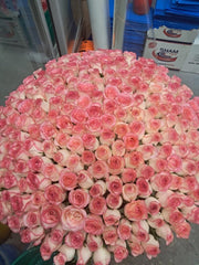 200 Double Pink Roses Basket – Luxury Romance by Rawadat Alward - Rawadat Alward