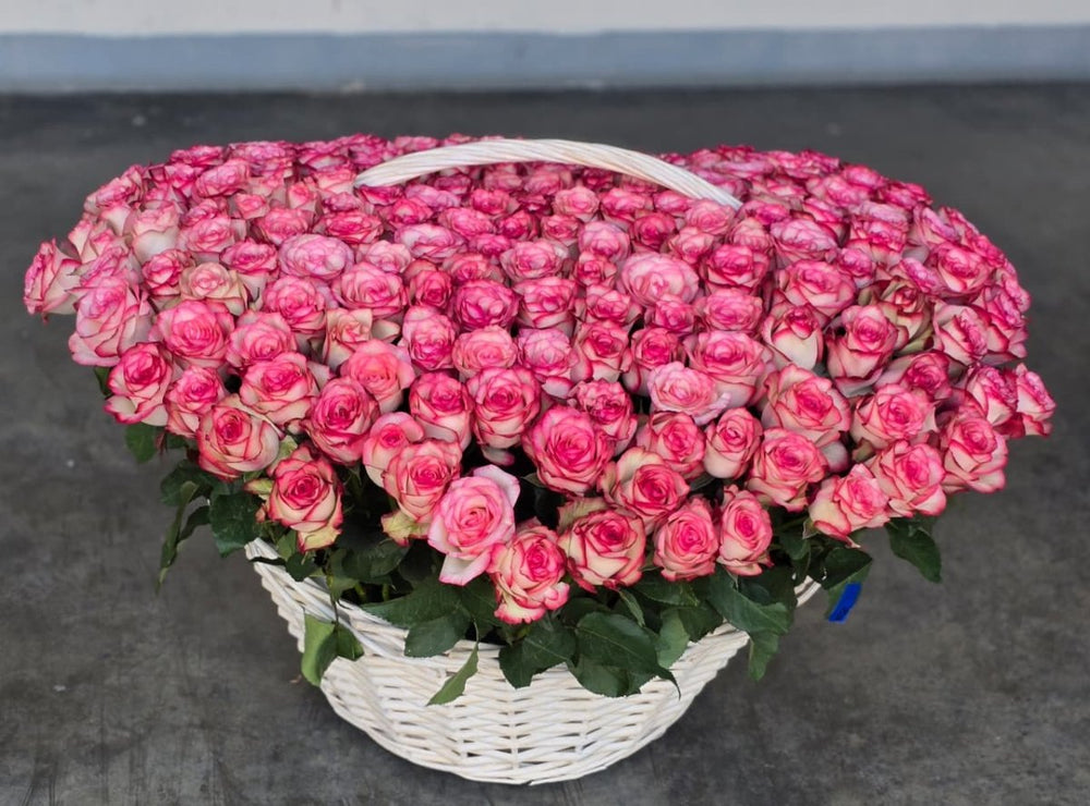 200 Double Pink Roses Basket – Luxury Romance by Rawadat Alward - Rawadat Alward