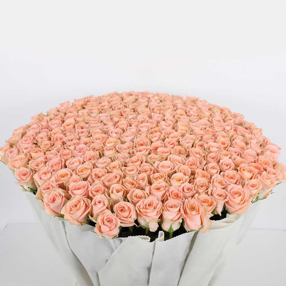 200 Peach Roses Bouquet – Grandeur & Grace by Rawadat Alward - Rawadat Alward