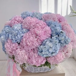 30 - Stem Pink & Blue Hydrangea Basket – Timeless Luxury by Rawadat Alward - Rawadat Alward