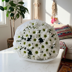 Fresh White Chrysanthemums in Elegant Wrapping