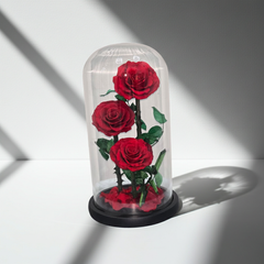Preserved Red Roses in Glass Dome