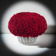 Grand Red Rose Elegance Bouquet