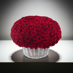 Grand Red Rose Elegance Bouquet