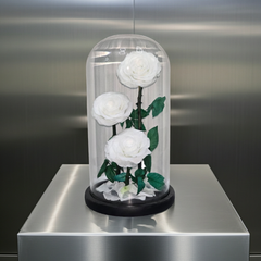 Preserved White Roses in Glass Dome