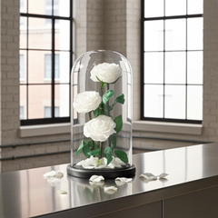Preserved White Roses in Glass Dome
