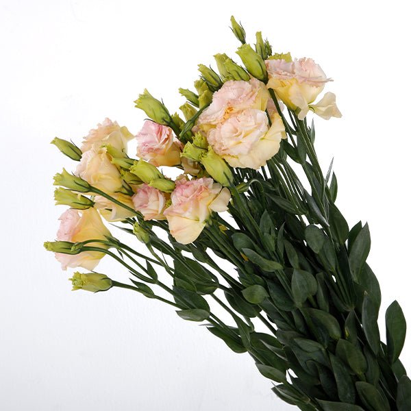 Bright Yellow & White Floral Arrangement - Rawadat Alward