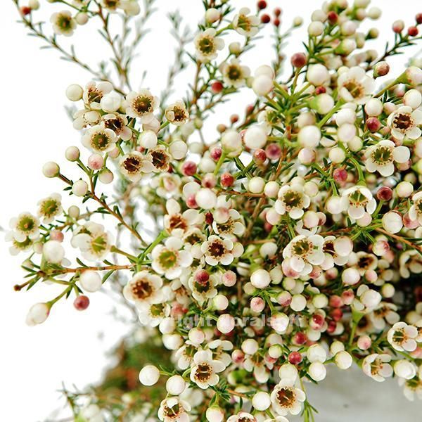 Bright Yellow & White Floral Arrangement - Rawadat Alward