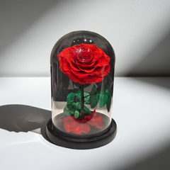Preserved Red Rose in Glass Dome