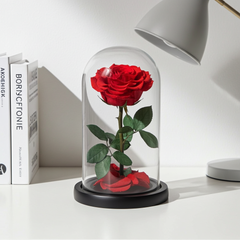 Preserved Red Rose in Glass Dome