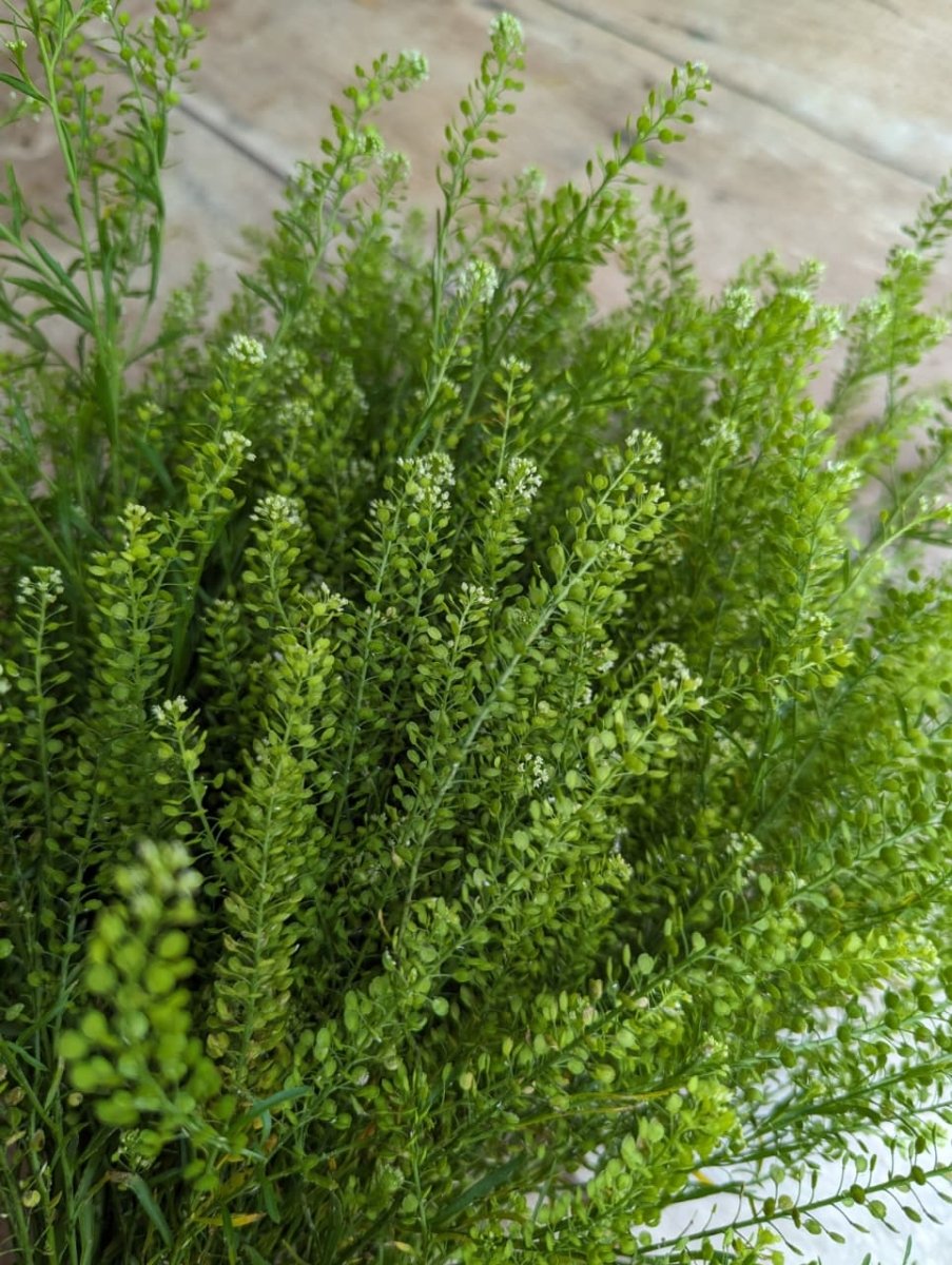 💐 Elegant Mauve Rose Bouquet - Rawadat Alward