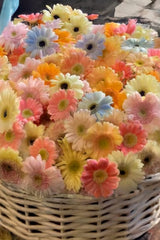 Flower Basket Arrangement