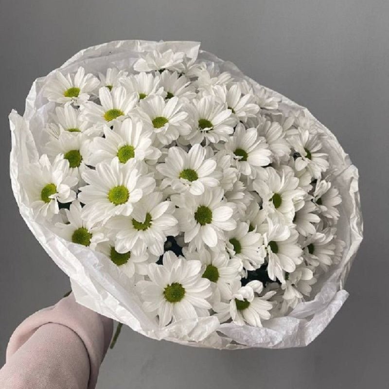 Fresh White Chrysanthemums in Elegant Wrapping - Rawadat Al Ward