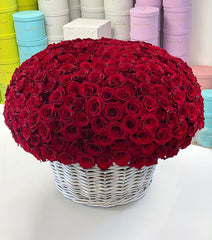Luxury 500 Red Roses Basket - Rawadat Alward