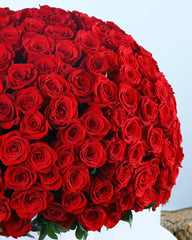 Luxury 500 Red Roses Basket - Rawadat Alward