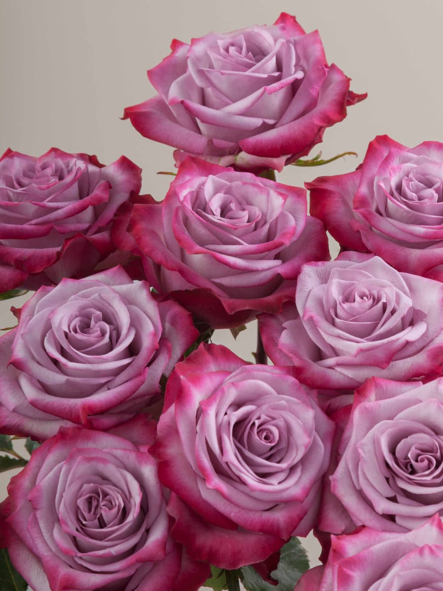 Luxury Purple Rose Bouquet - Rawadat Al Ward