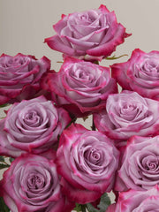 Luxury Purple Rose Bouquet - Rawadat Al Ward