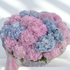 Pink and Blue Hydrangea Basket Arrangement