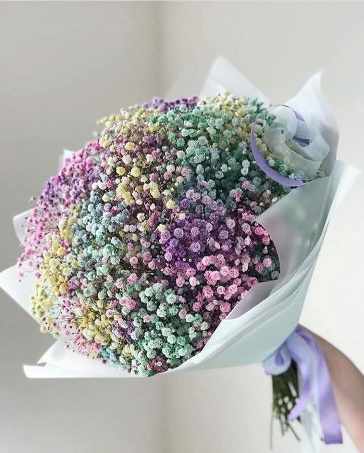Pastel Gypsophila Bouquet (Baby’s Breath Flowers) - Rawadat Al Ward