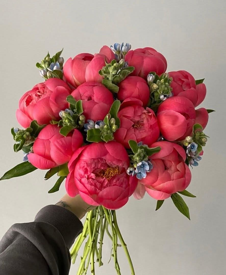 Pink Blooms - Rawadat Al Ward