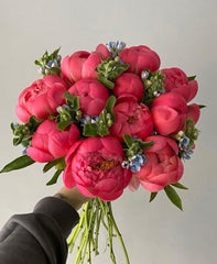 Pink Blooms - Rawadat Al Ward