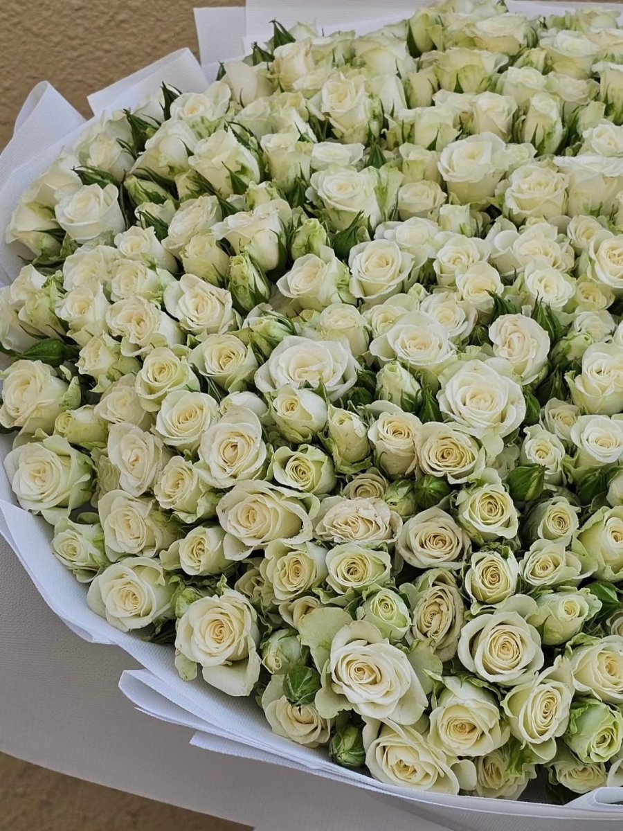 Pure, Elegant & Exquisite - Rawadat Al Ward