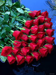 Red Roses Bouquet 100 stem – Classic Love by Rawadat Alward - Rawadat Alward