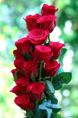 Romance in Bloom - Rawadat Alward