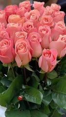 Soft pink roses with baby Eucalyptus - Rawadat Alward